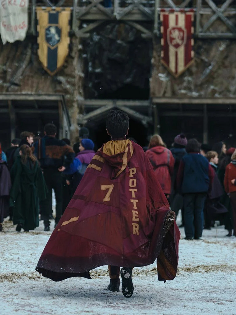 Harry Potter de dos en tenue de Quidditch
